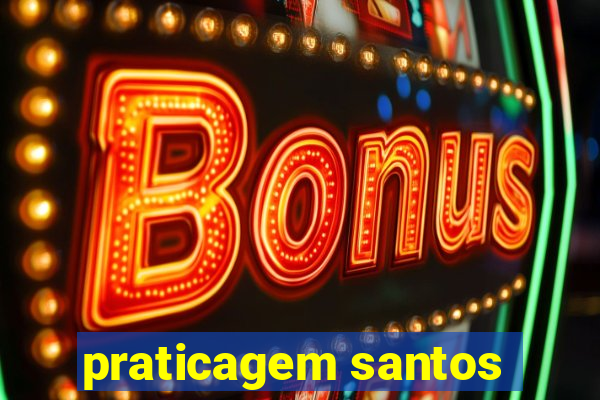 praticagem santos